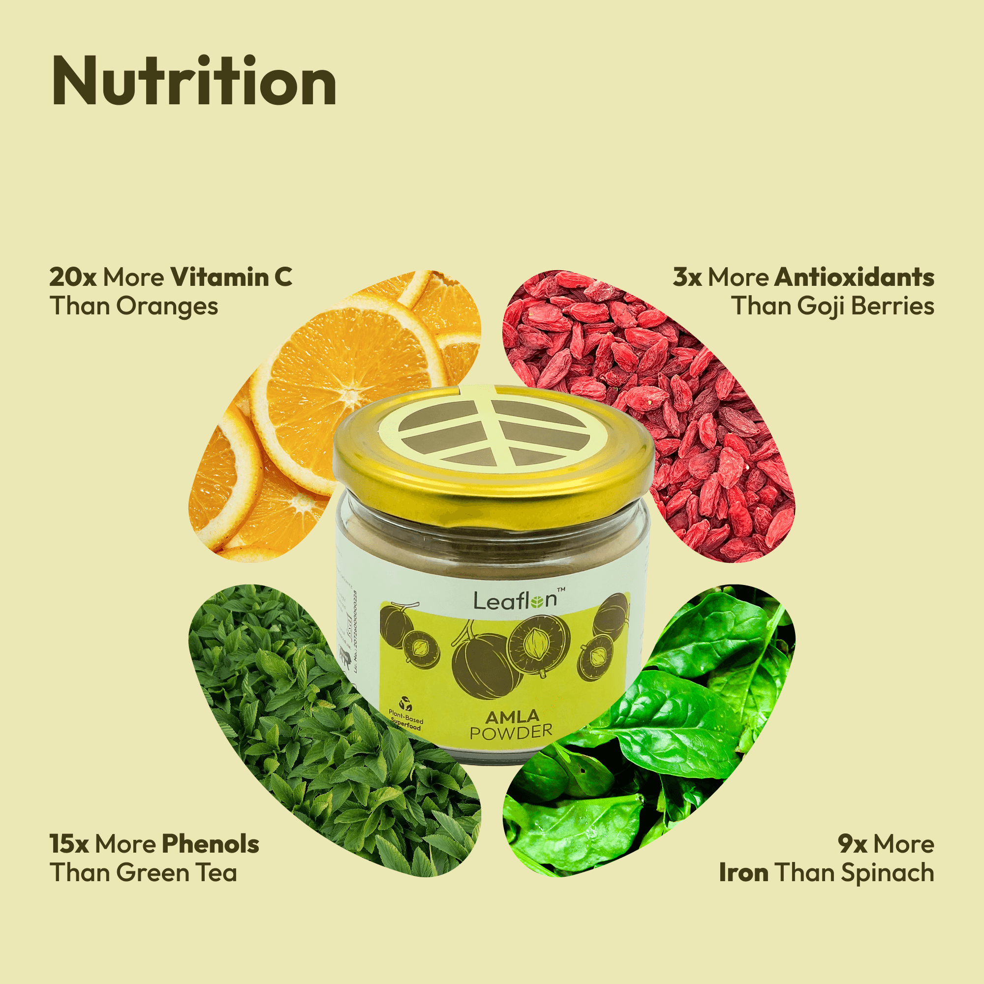 Amla Powder (150g) image 3