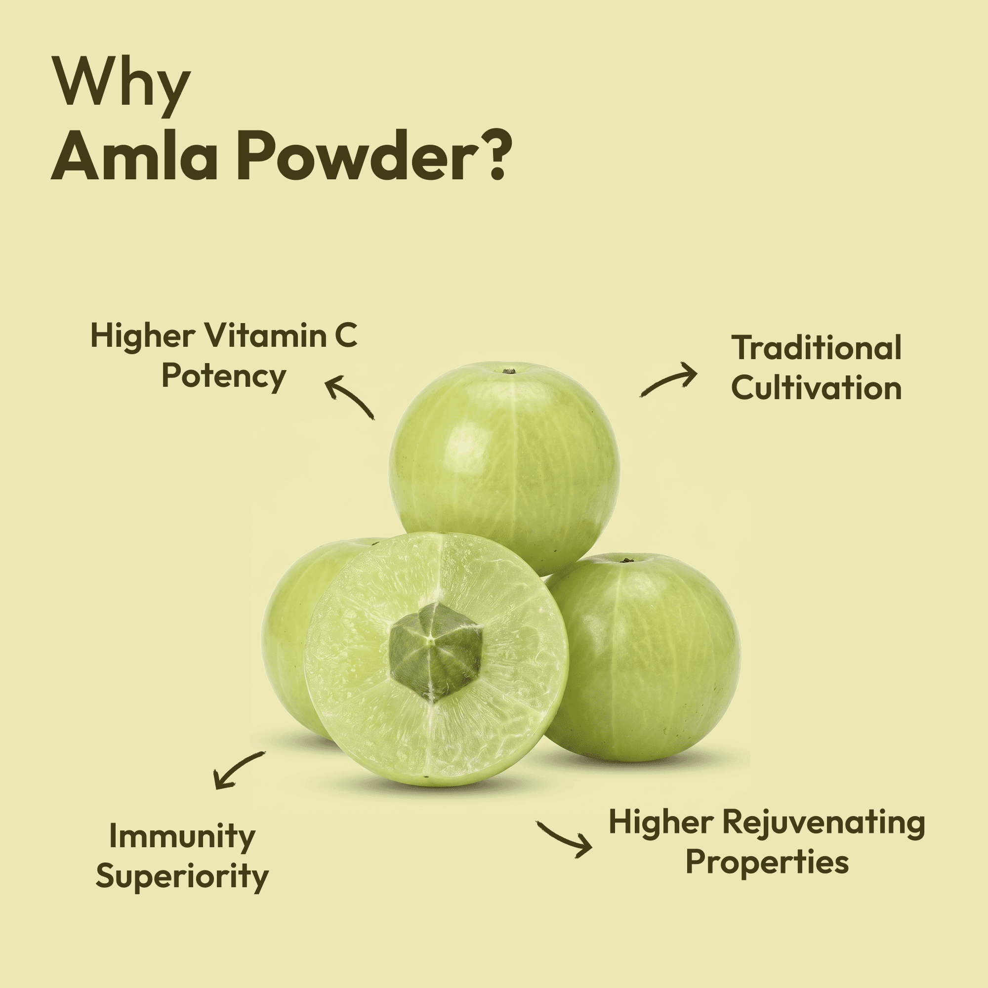 Amla Powder (150g) image 2