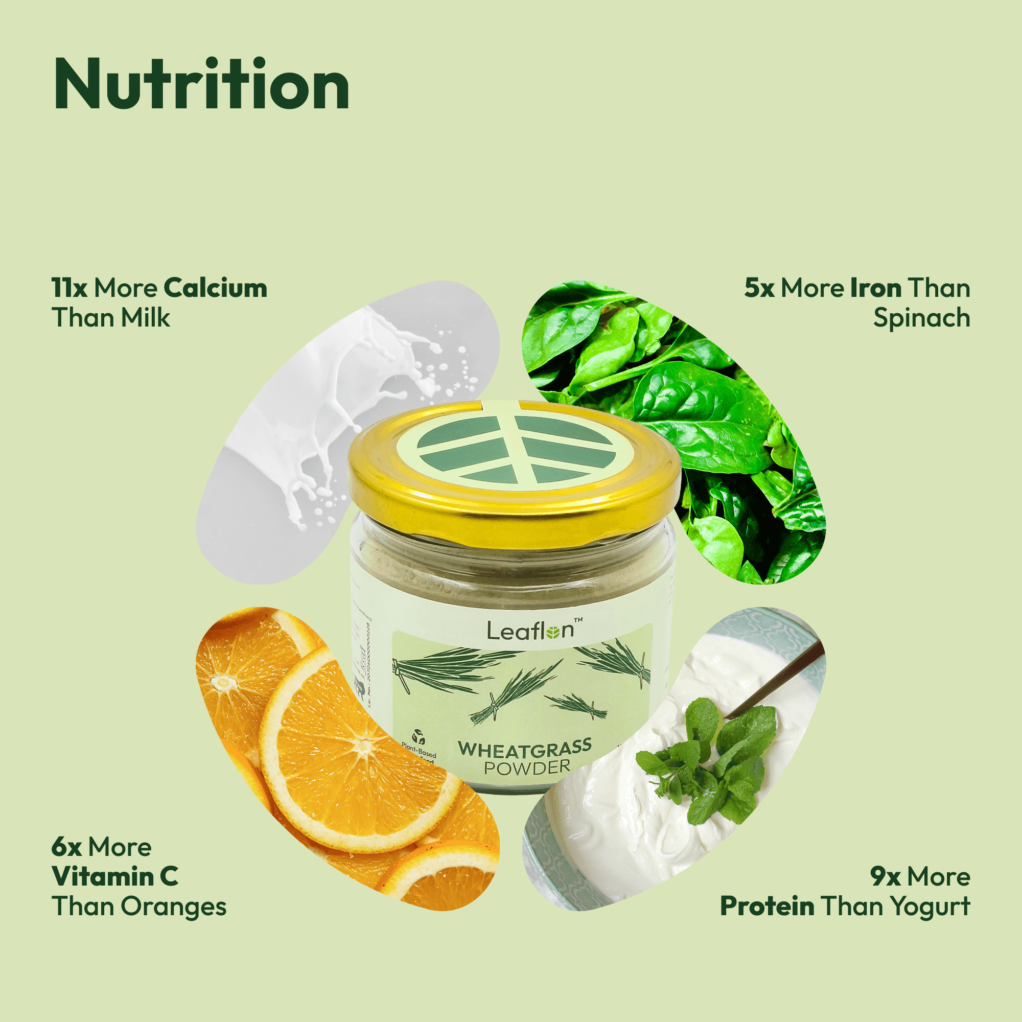 Wheatgrass Powder (100g) image 3